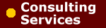 Consulting Services