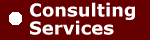 Consulting Services
